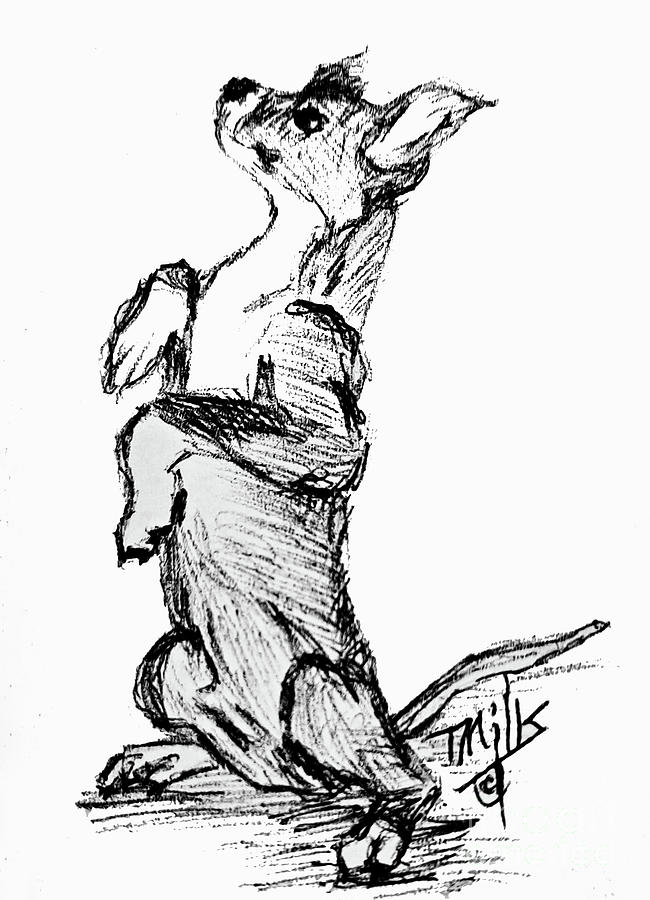 Little Mutt Drawing by Terri Mills