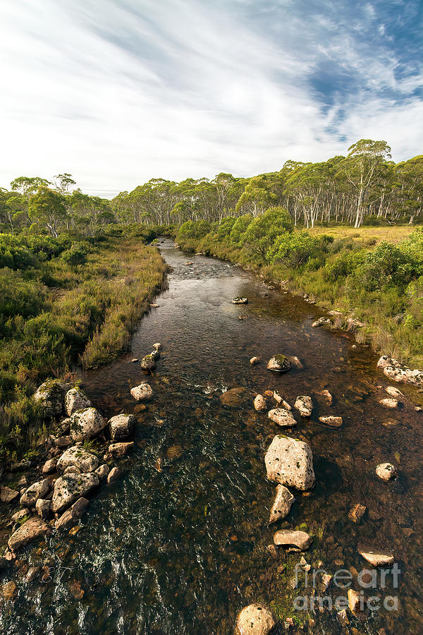 Little Navarre River, Nr. Derwent Bridge, Tasmania, Australia #3 Photograph by Elaine Teague