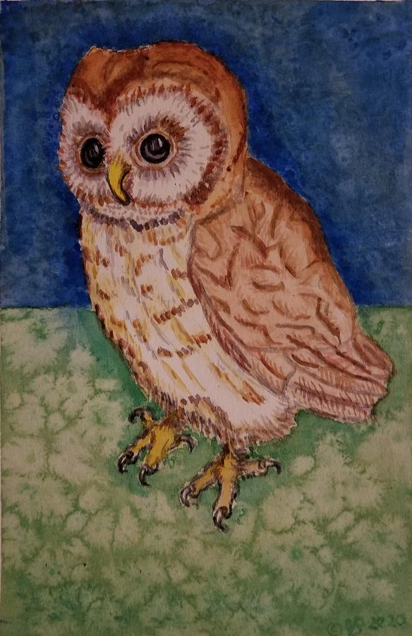 Little Owl after A. Durer Painting by Vera Smith