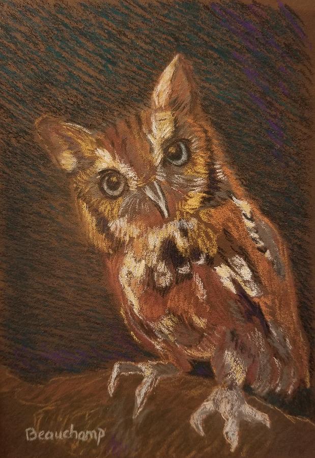 Little Owl Pastel by Nancy Beauchamp