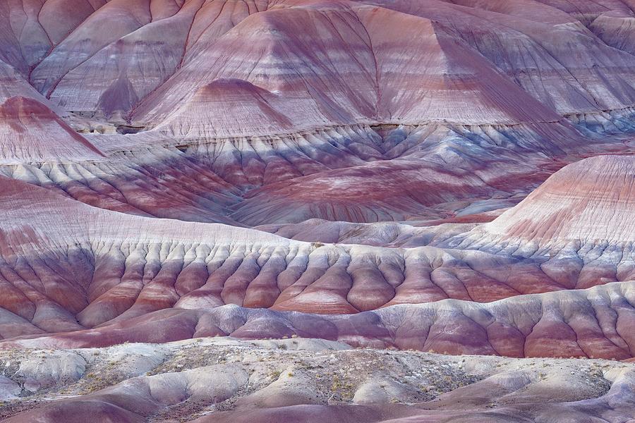 Little Painted Desert - The End of Sanity Photograph by Alexander Kunz