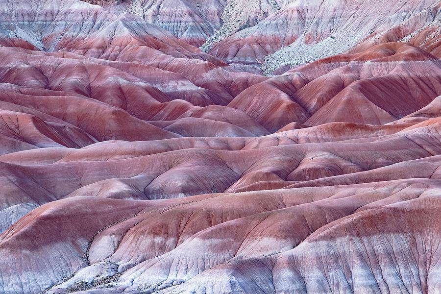 Little Painted Desert - The Undertow Photograph by Alexander Kunz