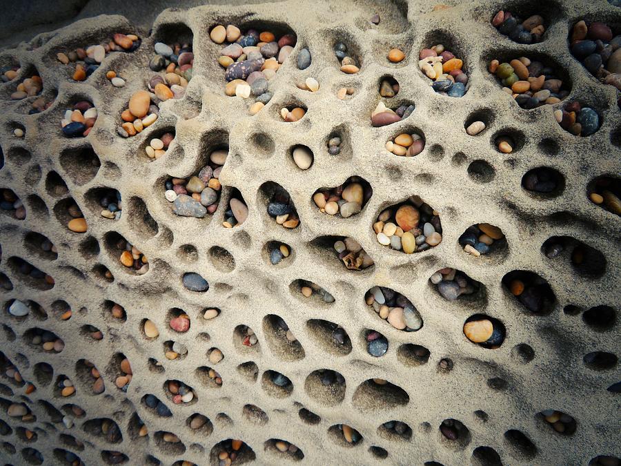 Little Pebbles Photograph by Anne Thurston