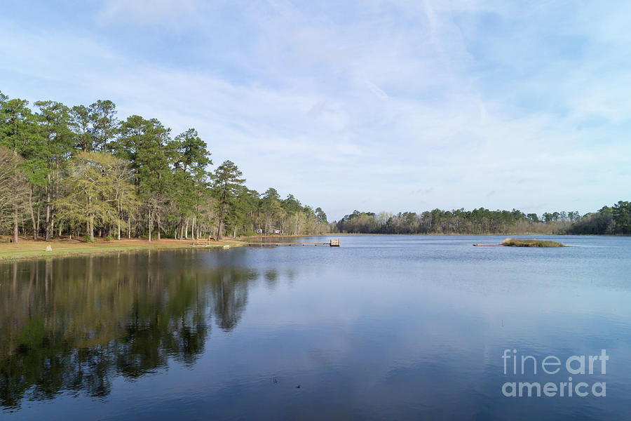 Little Pee Dee State Park South Carolina Early Spring Photograph by MM Anderson