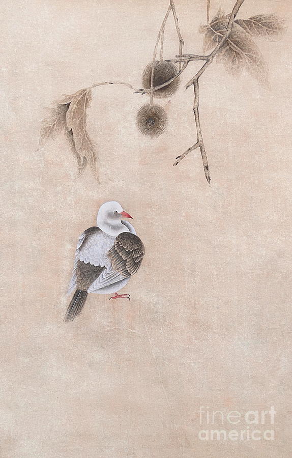 Pigeon Painting - Little Pigeon - no Cally by Birgit Moldenhauer