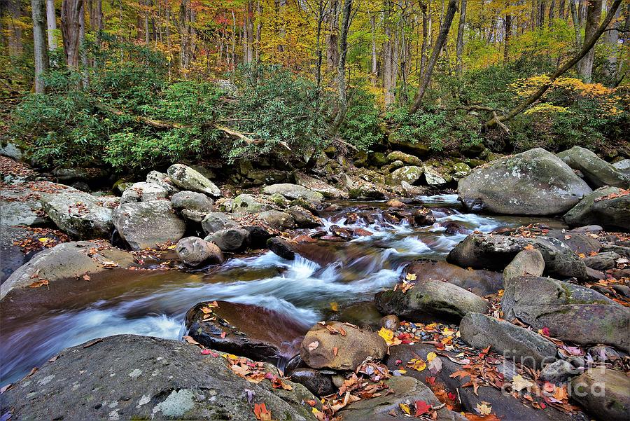Little Pigeon River At Chimneys Picnic Photograph