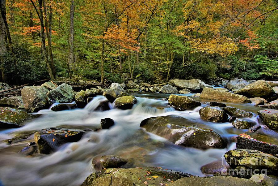 Little Pigeon River-chimney Tops 2 Photograph