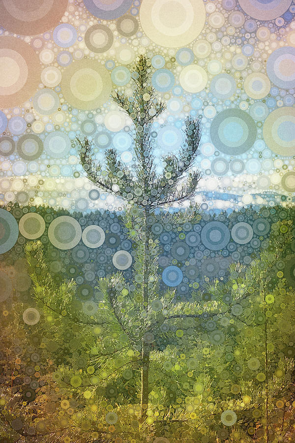 Little Pine Tree with Big Dreams Mixed Media by Peggy Collins