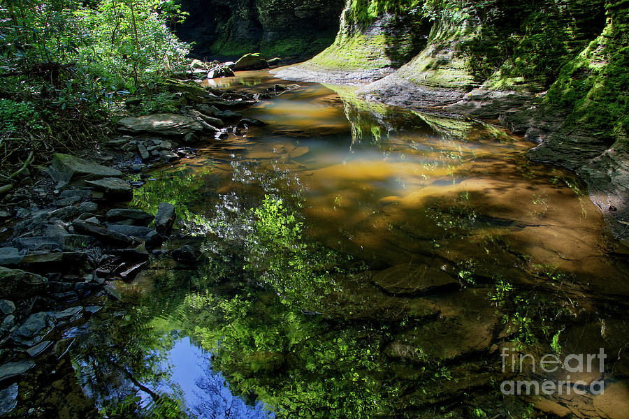 Little Piney Creek 1 Photograph by Phil Perkins