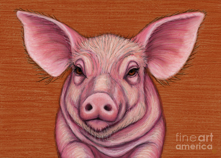Little Pink Pig Painting by Amy E Fraser