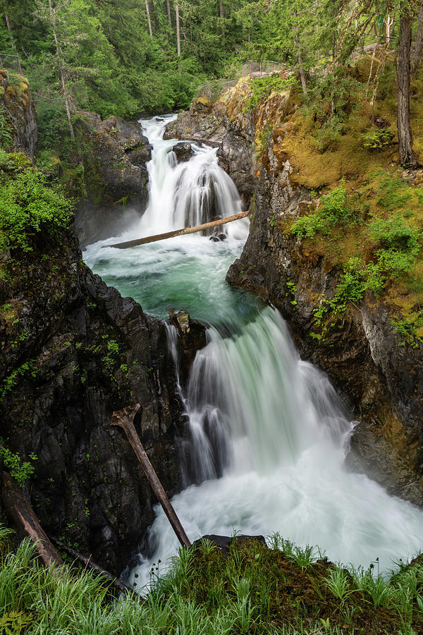 Little Qualicum Falls Photograph by Christina Stobbs - Pixels