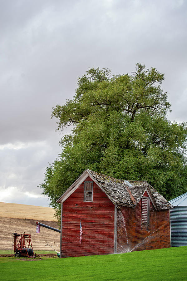 Little Red Barn Photograph by Doug Davidson