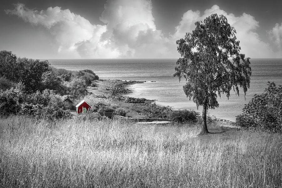 Little Red Barn on the Coast Black and White Photograph by Debra and Dave Vanderlaan