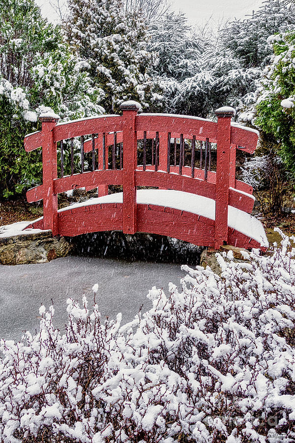 Little Red Bridge In The Snow Photograph by Jennifer White