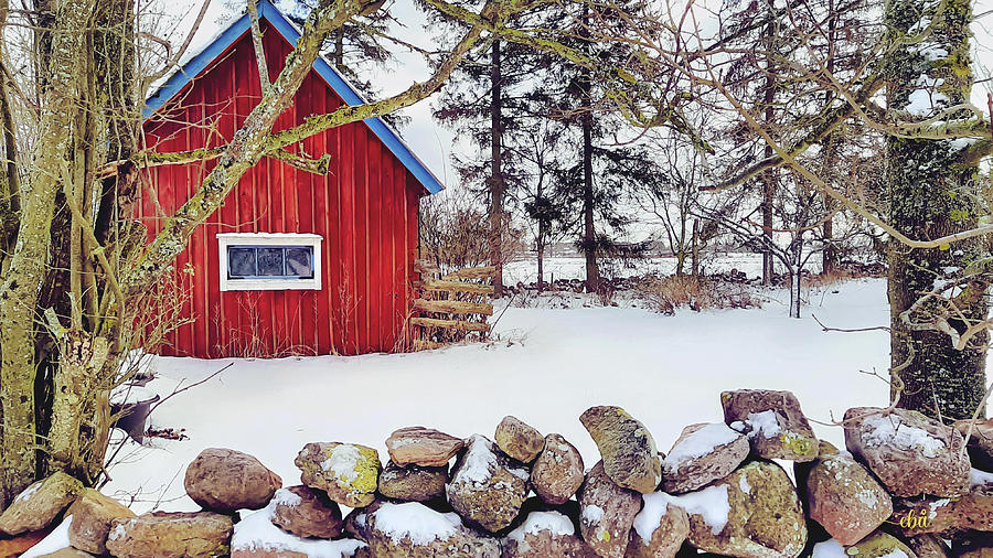Little Red Cabin Photograph by Elaine Berger