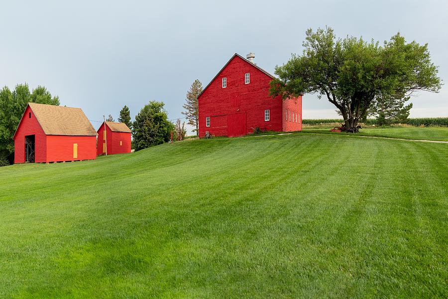 Little Red Farm on a Hill Photograph by Nikolyn McDonald