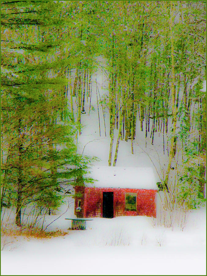 Little Red Hideaway Photograph by Jeff Cooper