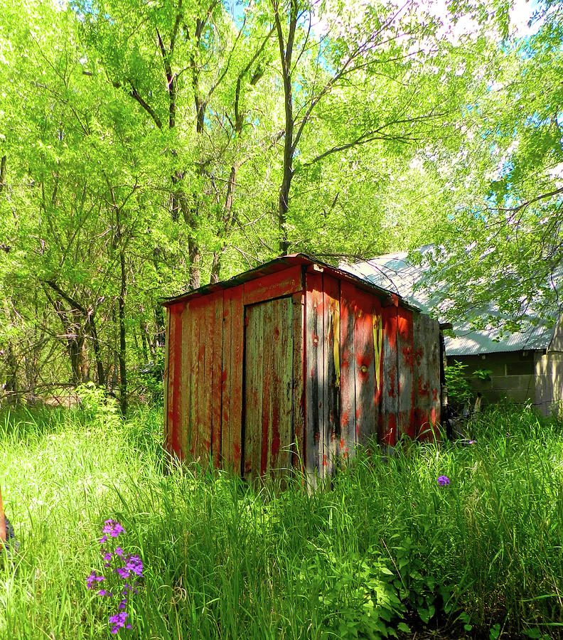 Little Red Shed  Photograph by Cathy Anderson
