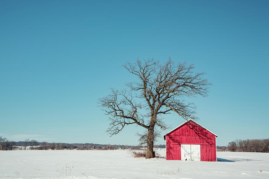 Little Red Shed Photograph by Todd Klassy