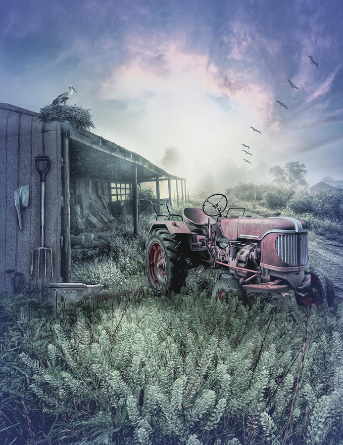Barn Photograph - Little Red Tractor in the Blue Fog by Debra and Dave Vanderlaan