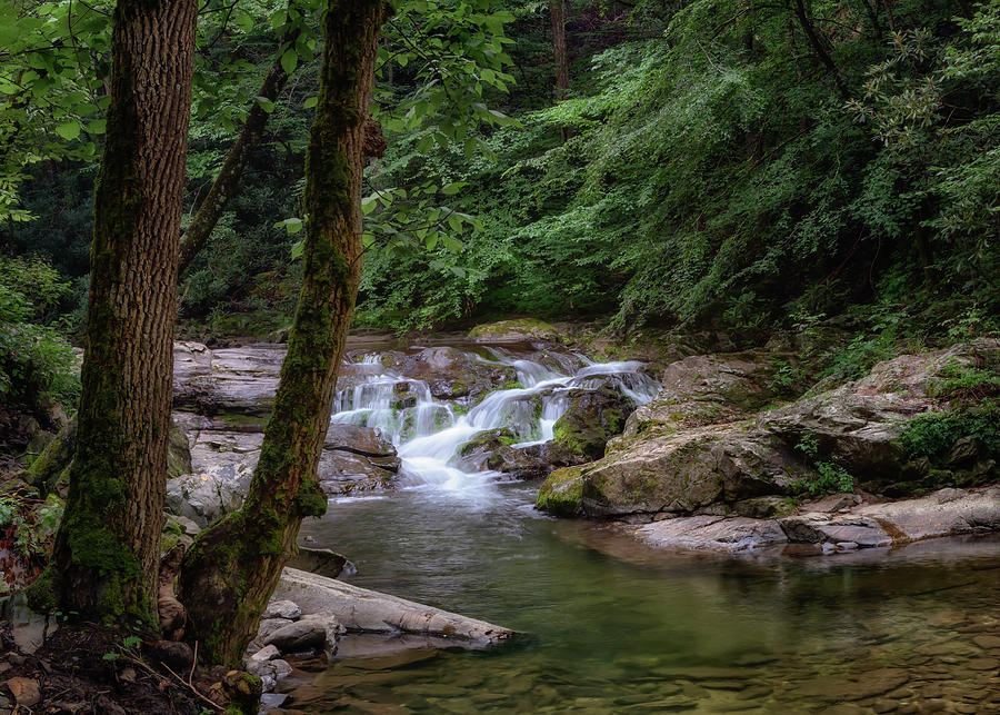 Little River Cascade - Great Smoky Mountains National Park Photograph by Susan Rissi Tregoning
