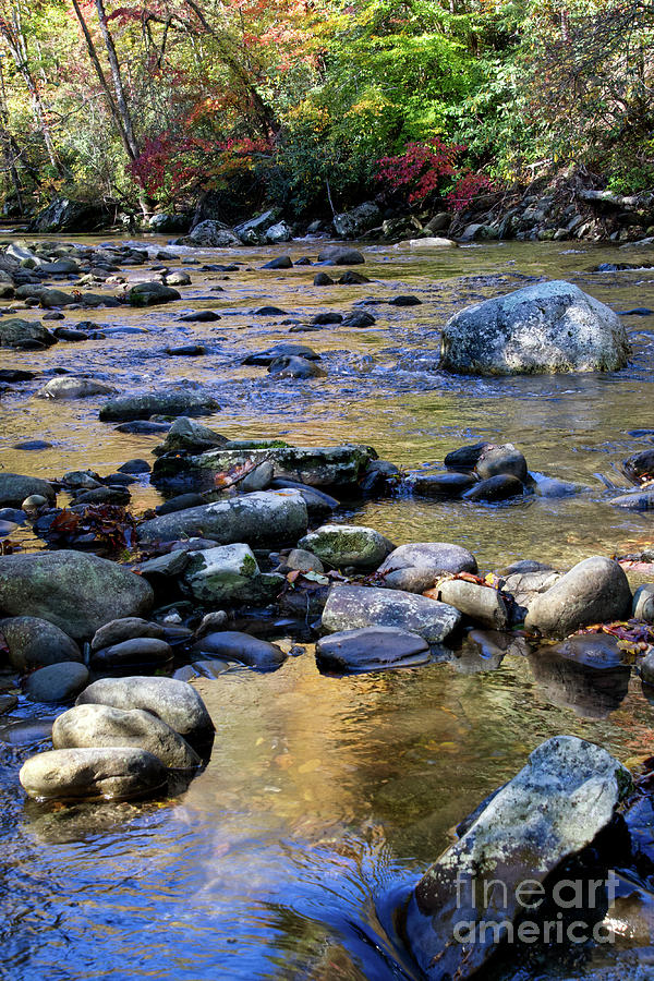 Little River In Autumn 2 Photograph by Phil Perkins