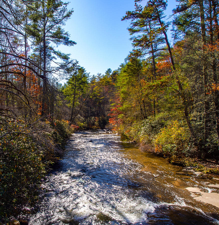 Little River in the DuPont State Forest, North Carolina Photograph by L Bosco