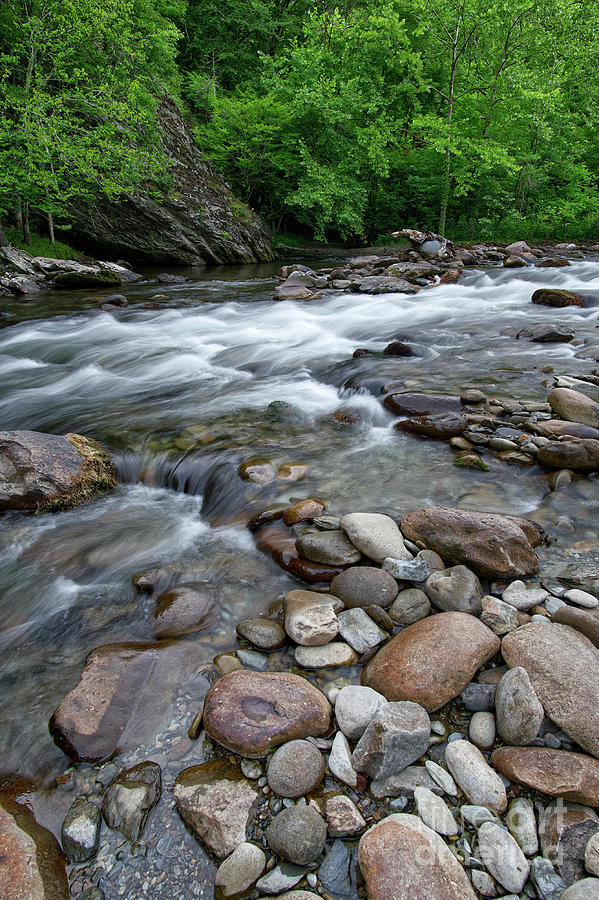 Little River Rapids 5 Photograph by Phil Perkins