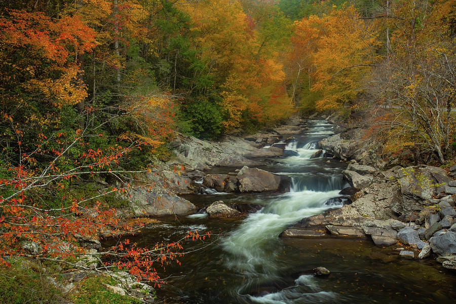 Little River Smoky Mountains Tennessee in Autumn Photograph by Carol ...