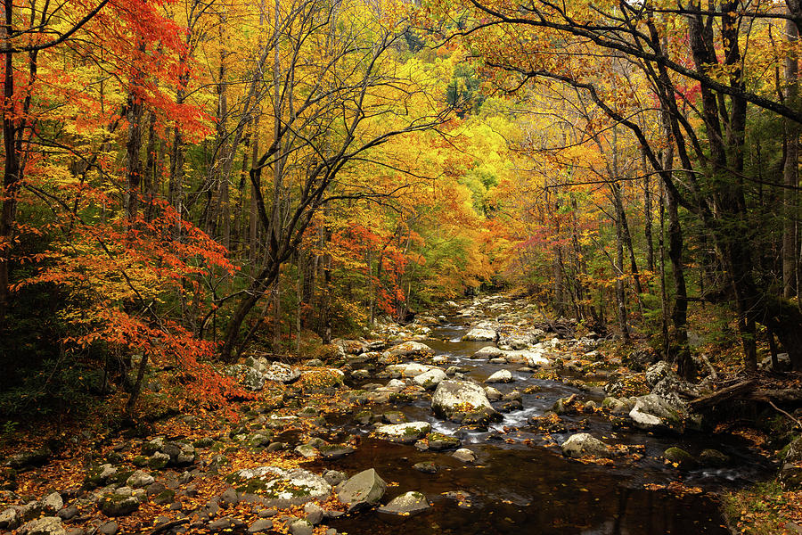 Little River, Tremont, Great Smoky Mountains National Park in Au ...