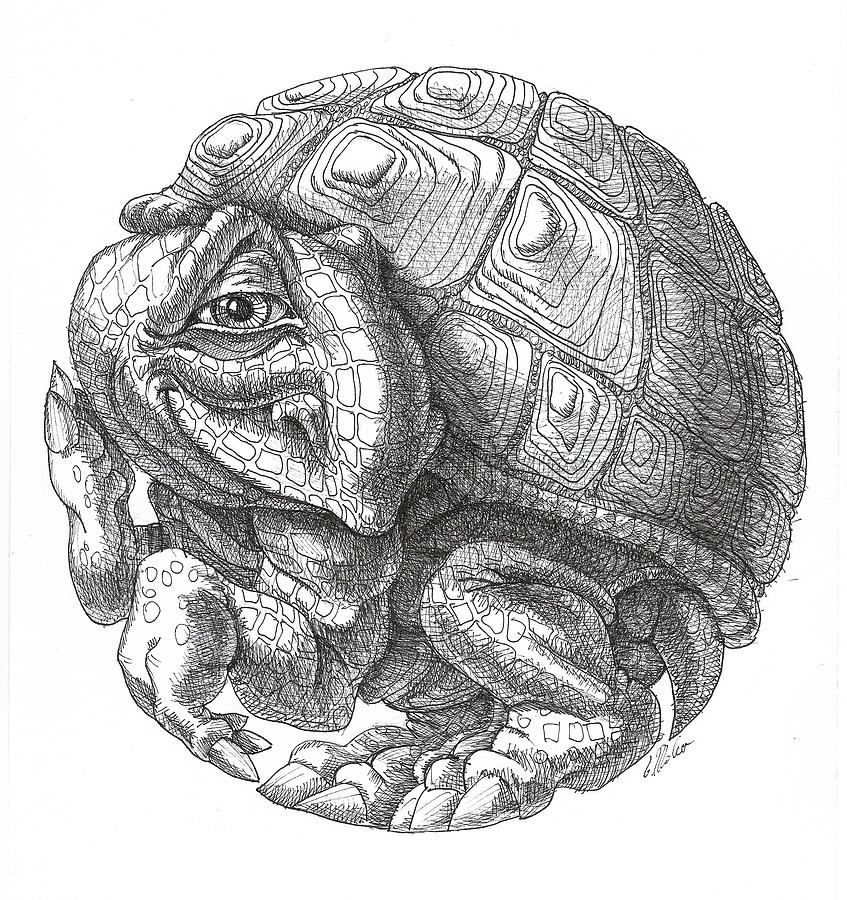Little round turtle Drawing by Victor Molev