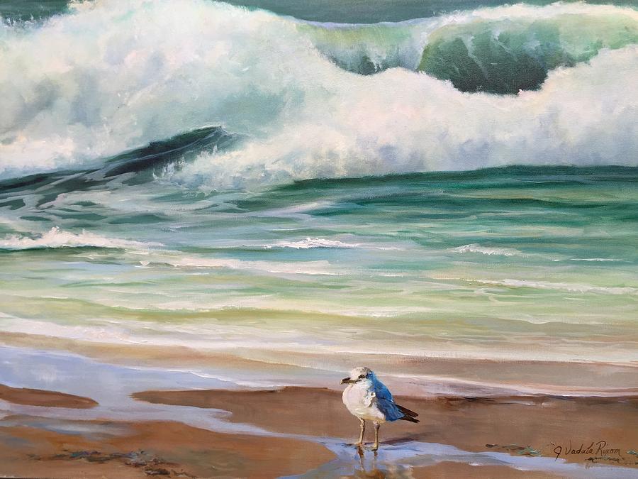 Little Seagull Painting by Judy Rixom