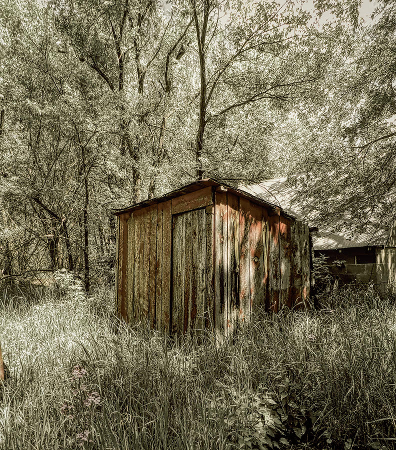 Little Shed out back Photograph by Cathy Anderson
