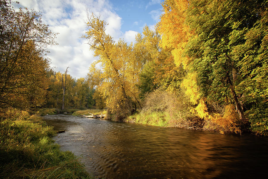 little-spokane-river-photograph-by-james-richman-fine-art-america