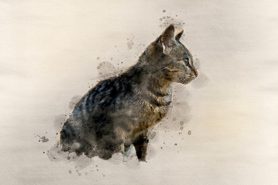 Little Stray Cat - Watercolor Digital Art by Luis G Amor - Lugamor