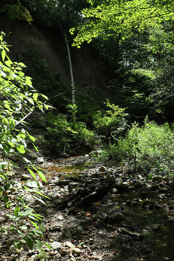 Water Photograph - Little Stream by a Hill by Scott Kingery Water Photograph - Little Stream by a Hill by Scott Kingery