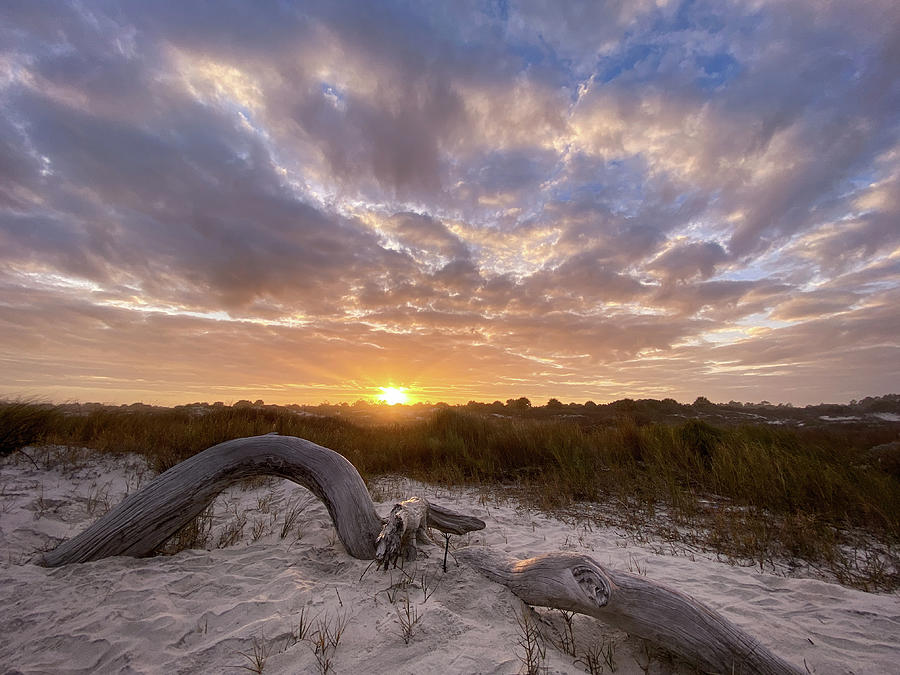 Little Talbot Sunset, Little Talbot Island, Florida Photograph by Dawna Moore Photography