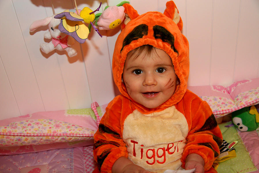 Little Tigger Photograph by Diana Haronis dianasphotoart.com