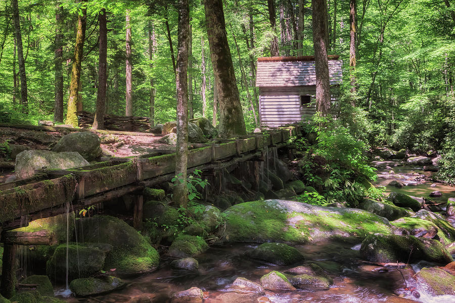 Little Tub Mill on Roaring Fork - Smoky Mountains Photograph by Susan Rissi Tregoning