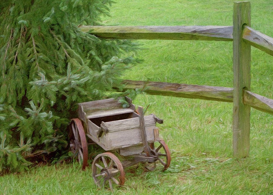 Little Wagon By The Fence Photograph