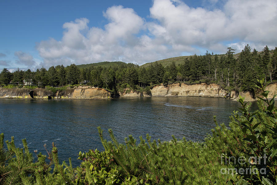 Little Whale Cove 2022 Photograph by Suzanne Luft