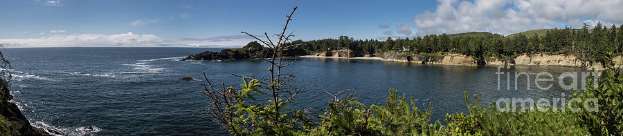 Little Whale Cove Pano Photograph by Suzanne Luft