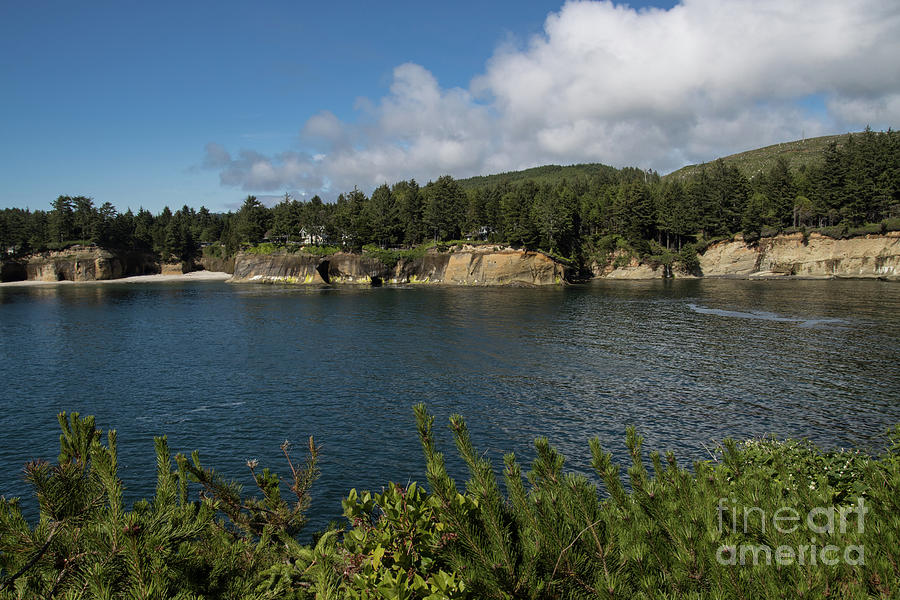 Little Whale Cove Photograph by Suzanne Luft