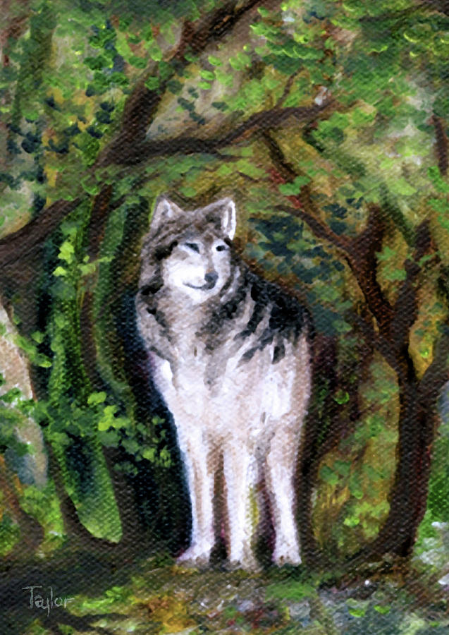 Little Wolf Painting by FT McKinstry