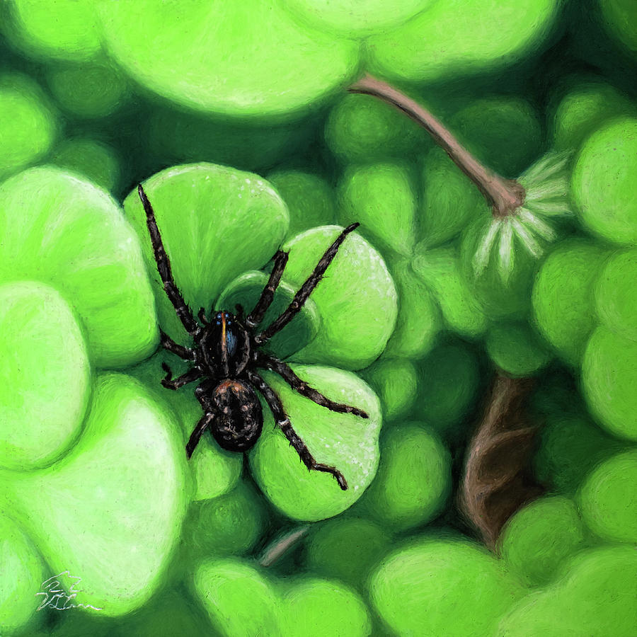 Nature Painting - Little Wolf / vivid garden spider on serene green succulents by V Leigh Carr