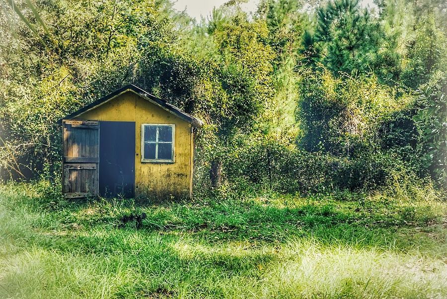 Little Yellow Shed Photograph by Patricia Greer