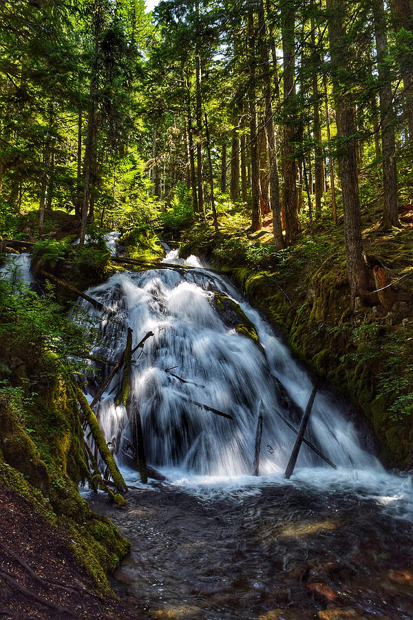 Little Zigzag Falls Photograph by Dana Hardy - Pixels