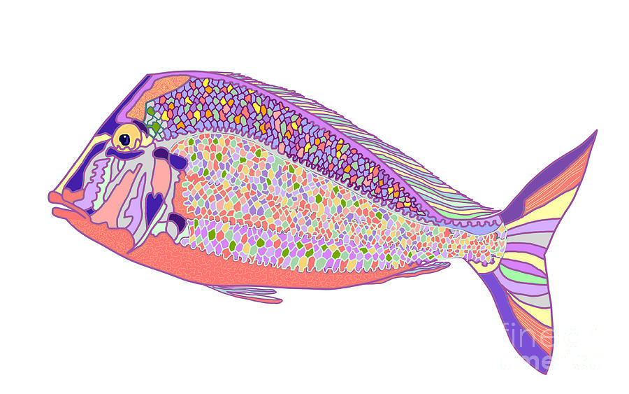 Littlehead Porgy Fish Digital Art