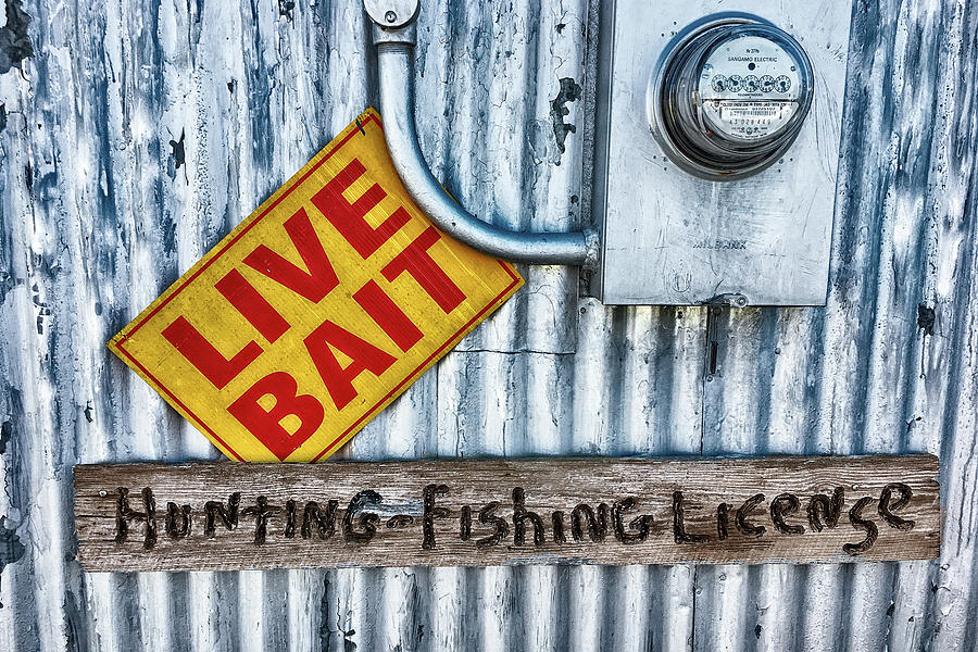 Live Bait Photograph by Anthony M Davis