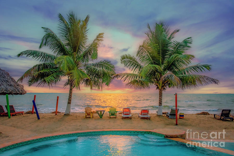 Live Colorfully in Belize Photograph by David Zanzinger Live Colorfully in Belize Photograph by David Zanzinger